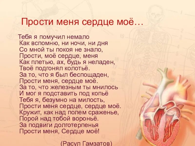 Значение слова сердце. Стихи про сердце. Стихи о сердце человека. Высказывания про сердце. Красивое стихотворение про сердце.