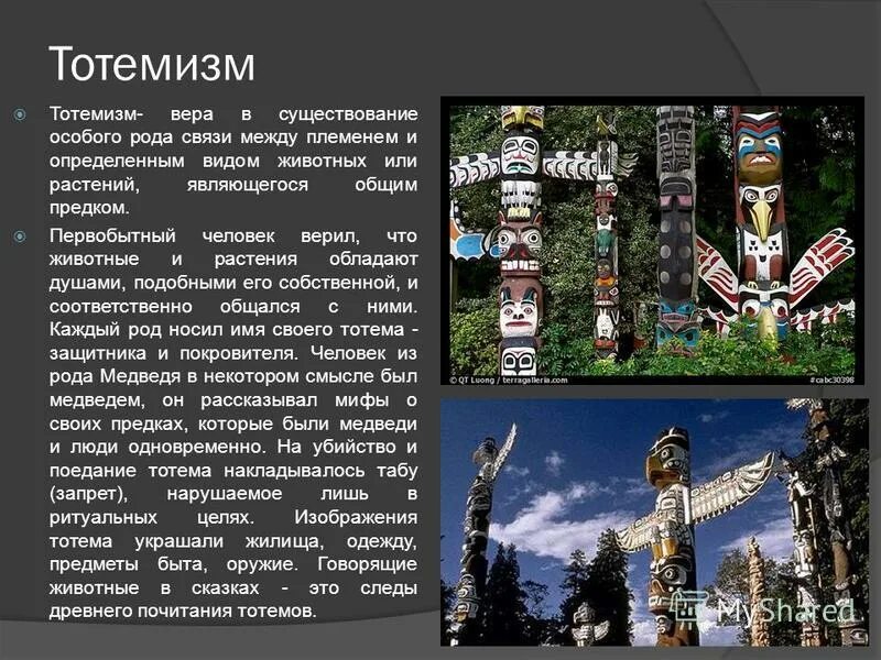 Тотемизм в японии. Тотемизм в австралии. Тотемизм в современном мире. Тотемизм в современном мире. Тотемизм в современном мире.