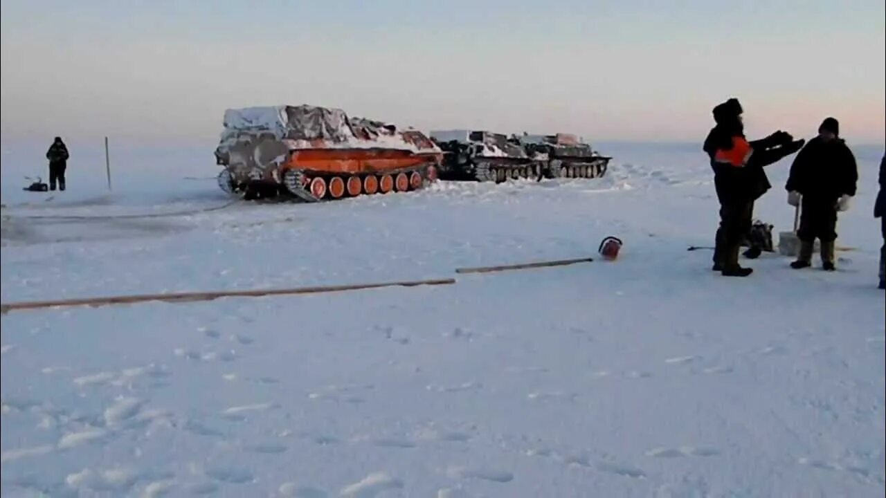 Игорь корнилов сабетта. Сабетта песня. Сабетта кусты. Сабетта. Сабетта 39.