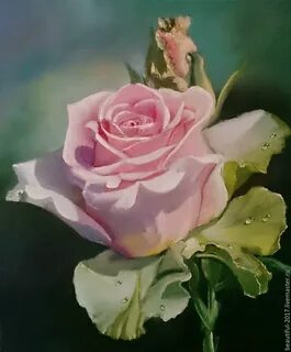 Розы харченко