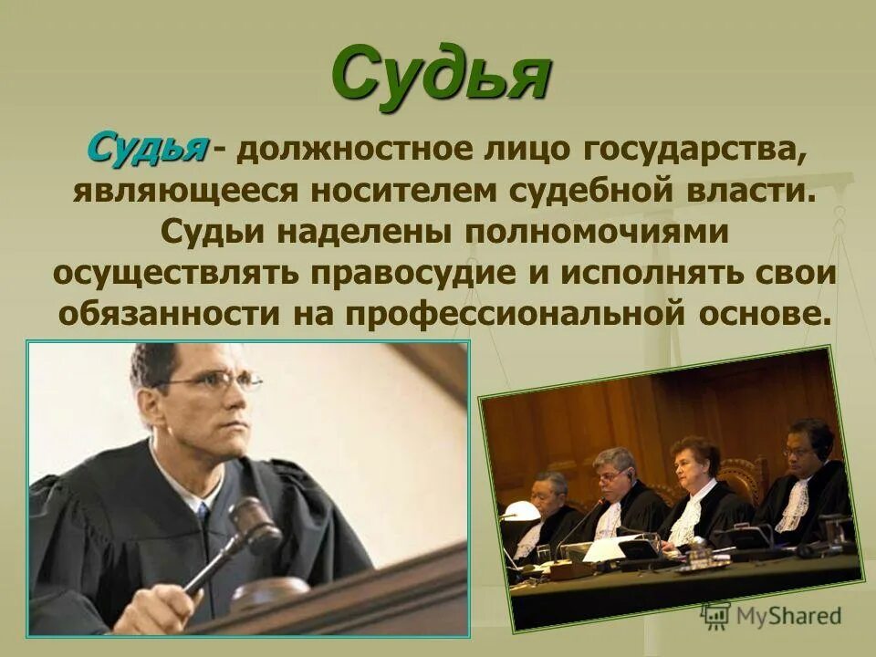 кто является должностным лицом. публичный статус должностных лиц. должностное лицо наделенное судебными полномочиями. органы полномочные рассматривать административные дела. органы рассматривающие дела об административных правонарушениях.
