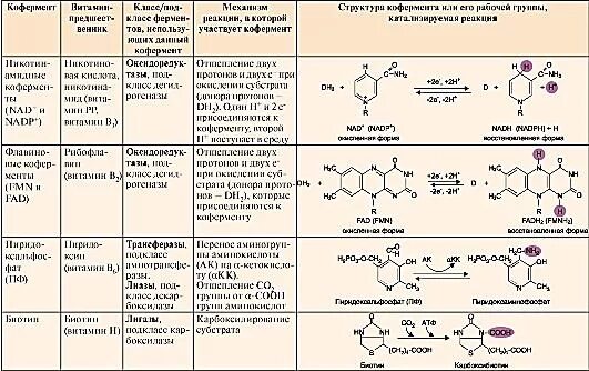 Характеристика ферментов участвующих в. Витамины коферменты биохимия таблица. Ферменты и коферменты биохимия таблица. Строение коферментов биохимия. Строение ферментов кофакторы и коферменты.