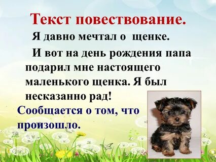 Найдите текст повествование