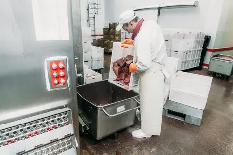 Колбасный цех 2024 программа