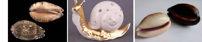 кабошоны керамические фарфоровые. фарфоровая улитка 5. золотой фарфор. фарфоровая улитка. фарфоровая улитка сканворд.