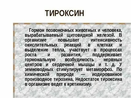 Тироксин оказывает влияние на