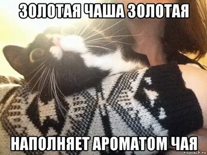 Запах наполнявший