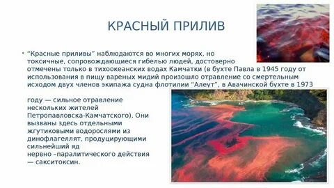 Почему красные левые