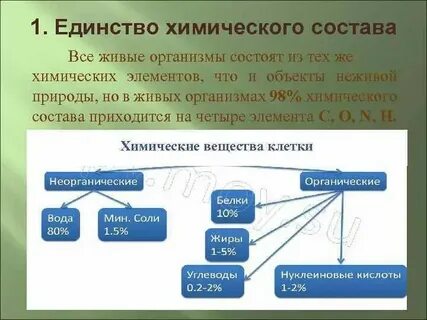 Химические связи в живых организмах