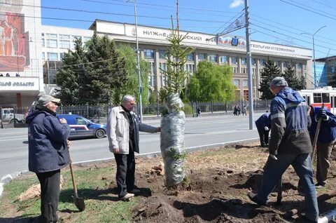 Служба благоустройства города