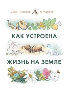 Как устроена жизнь