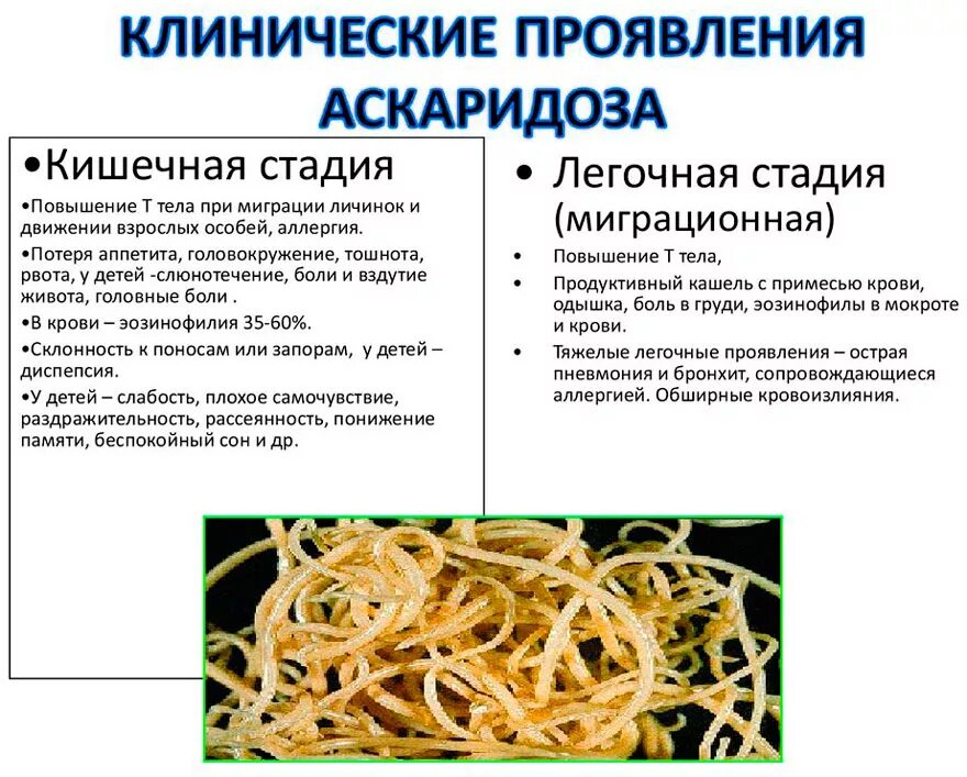 Глисты лечение в домашних условиях