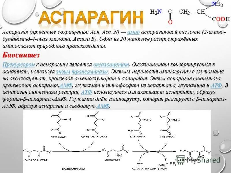 Полипептид это белок