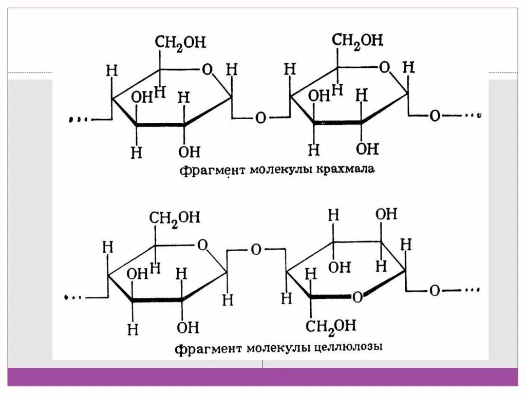 Установите последовательность этапов окисления молекул крахмала. Строение молекулы крахмала. Фрагмент молекулы амилозы. Амилоза строение молекулы. Молекула крахмала и целлюлозы.