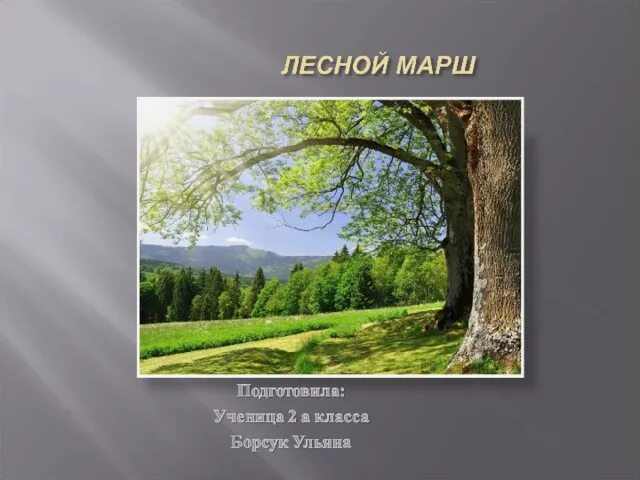 Гимна лесная
