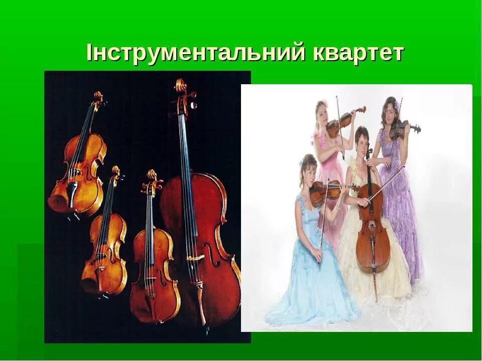 Струнный квартет состав инструментов. Квартет из инструментов. квартет из струнных инструментов. струнный квартет состоит. струнный квартет инструменты.