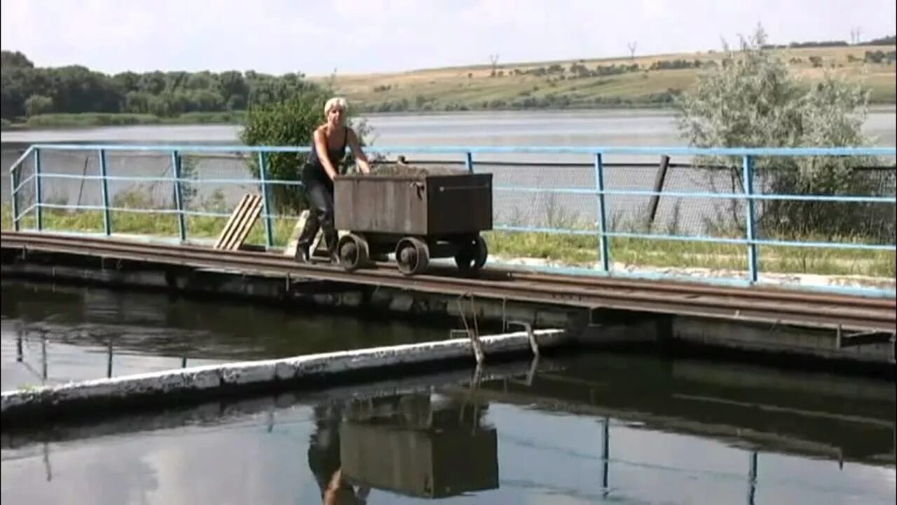 Северский рыбхоз. Рыбхоз карамышево. Рыбхоз варваровка алексеевский. Рыбхоз варваровка алексеевский. Северский рыбхоз.