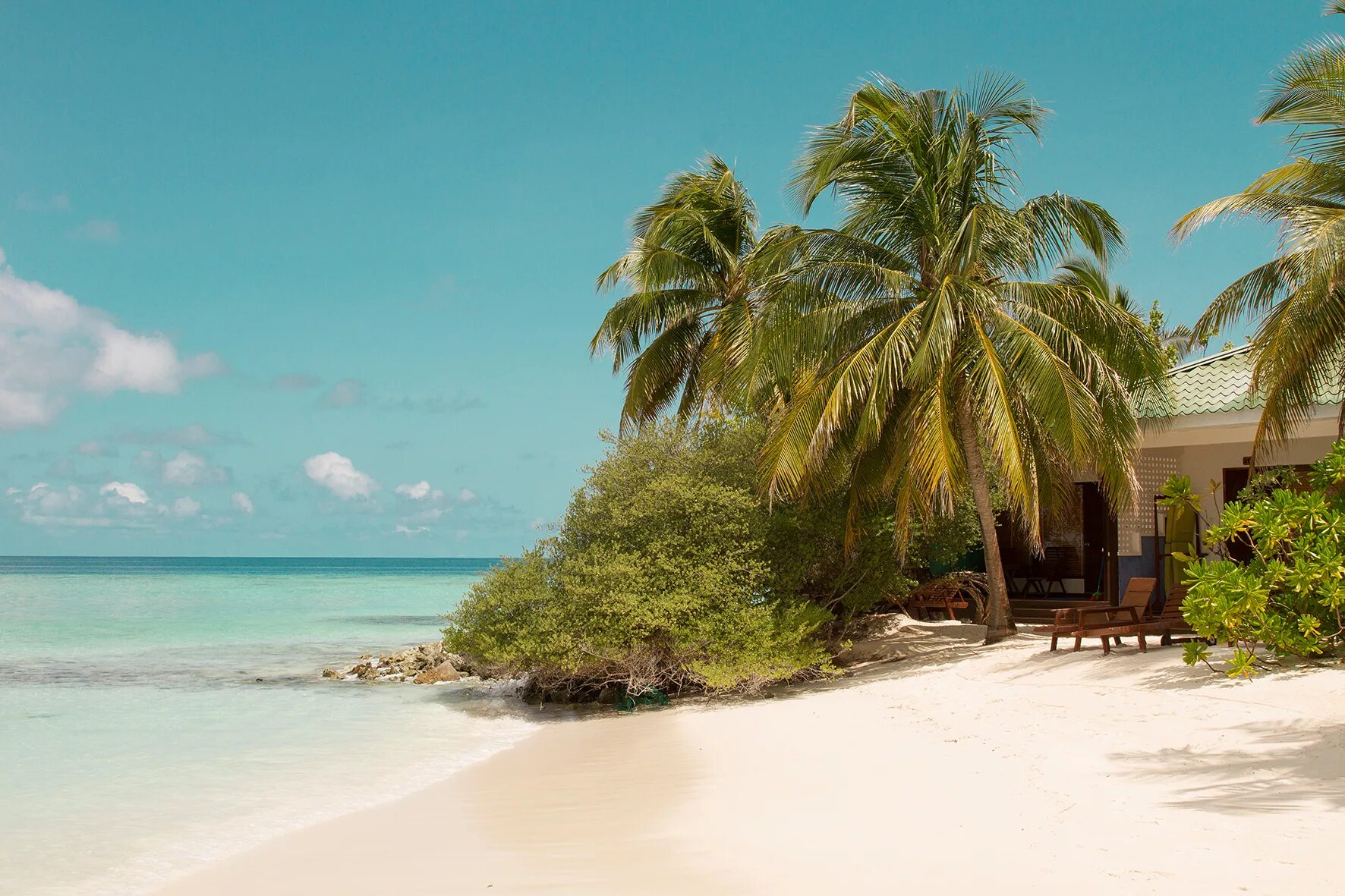 Eriyadu island resort 4* (north male' atoll). Eriyadu island maldives 4. Eriyadu мальдивы. Каафу атолл мальдивы. Отель eriyadu island resort мальдивы.