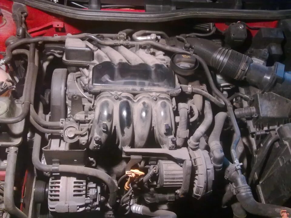 Skoda octavia tour bfq. Октавия 1,6 bfq. Моторный отсек шкода октавия тур 1. Skoda octavia маслопомойка bfq. Skoda octavia tour bfq.