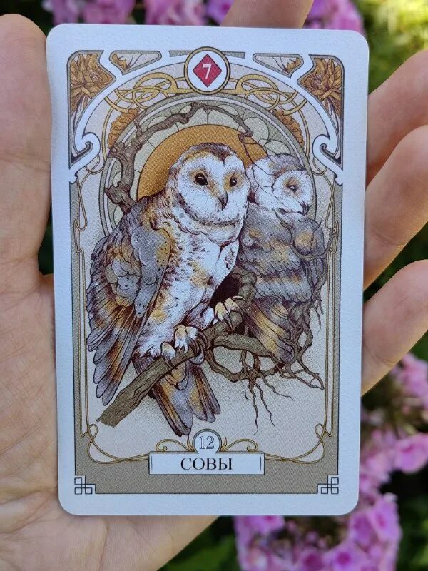 таро навигатор