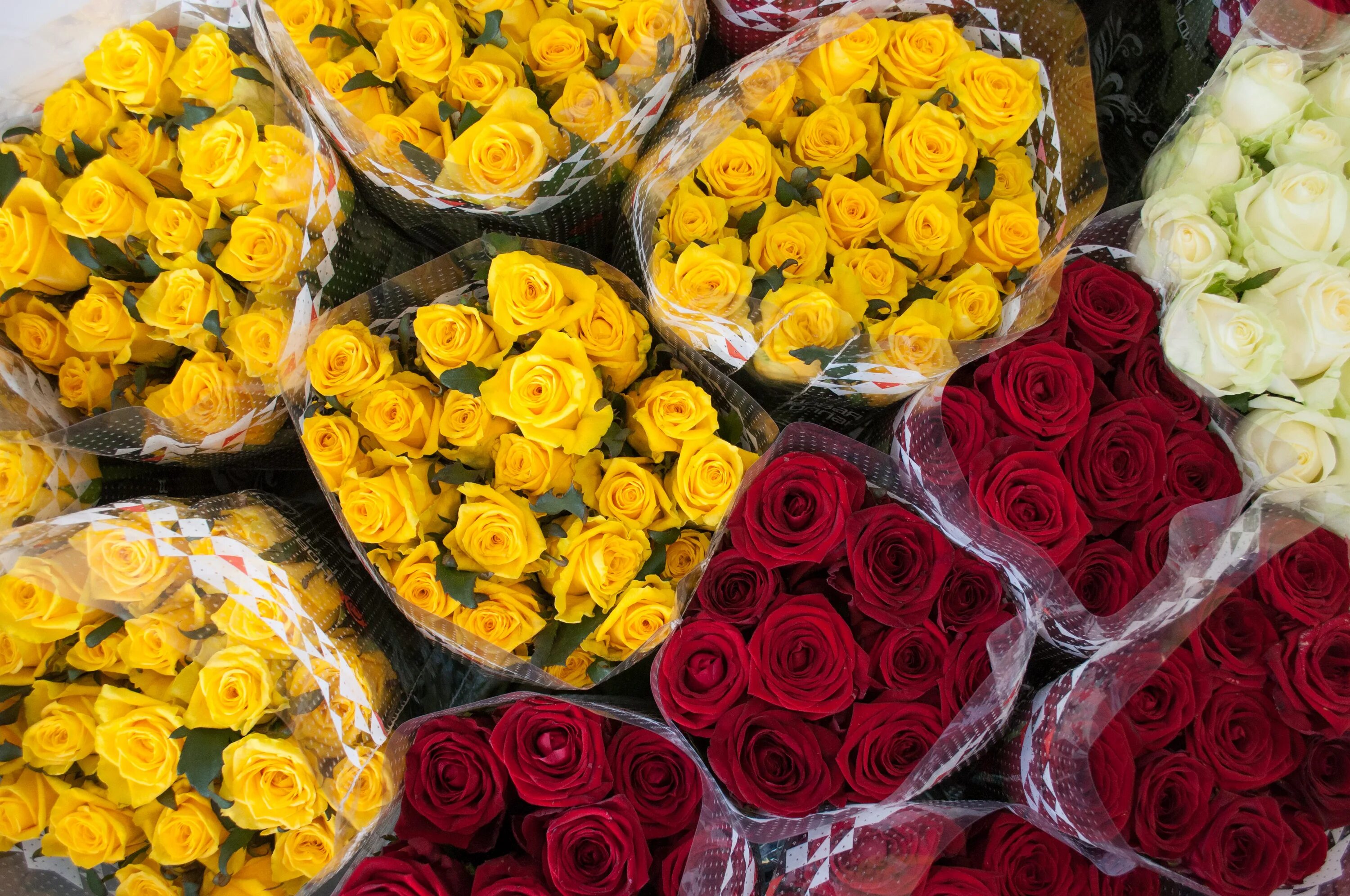 аргунова 2/2 иркутск. цветобаза иркутск. цветобаза на кузьмихе. цветобаза 38 иркутск сайт. цветобаза 38.