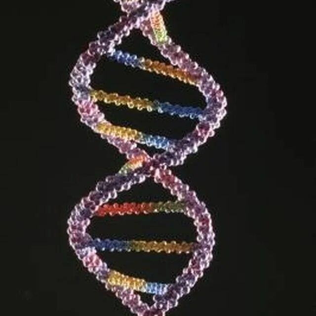 DNA Double Helix model. Цепочка ДНК. Молекула ДНК. Кольцо ДНК бисер. Днк 04.03 2024