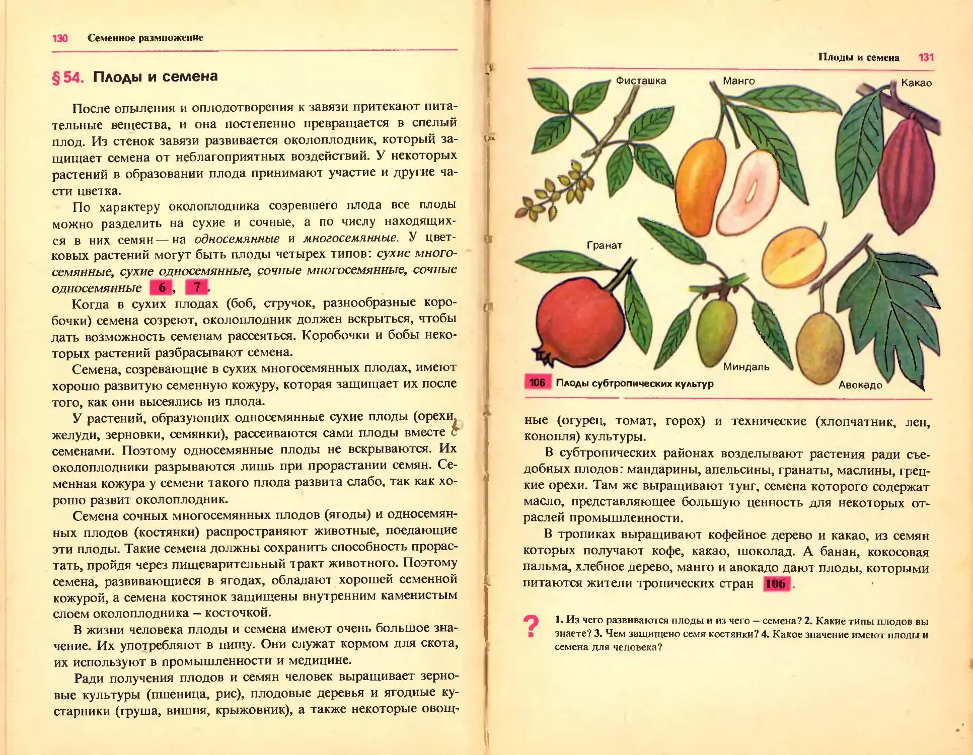 Созревание плодов и семян. Плоды и их семена. Что размножается плодами. Созревающий плод у растения.