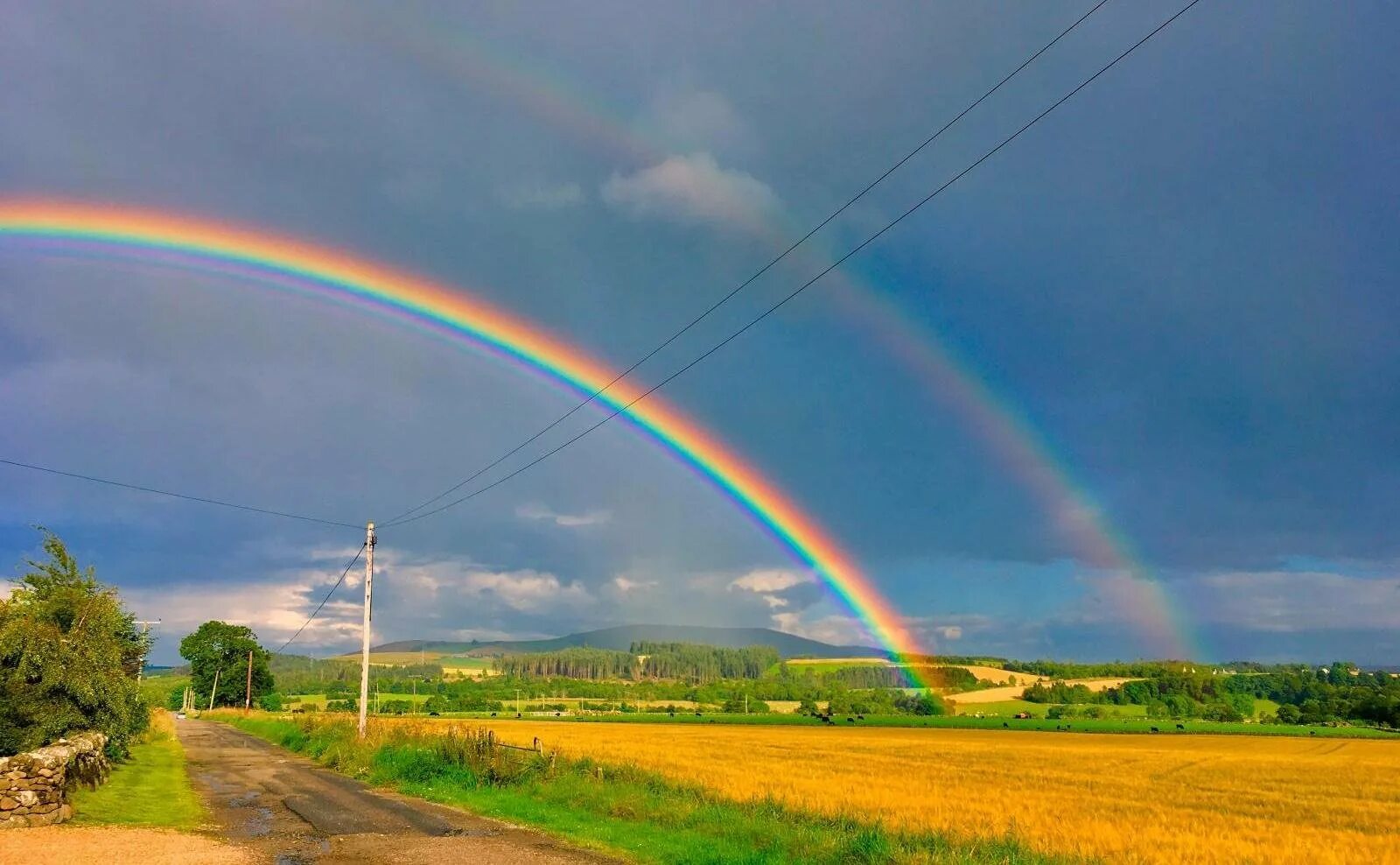 Радуга после дождя. Летняя Радуга. Природа лето Радуга. Радуга явление природы. Радуга в небе после дождя река времени