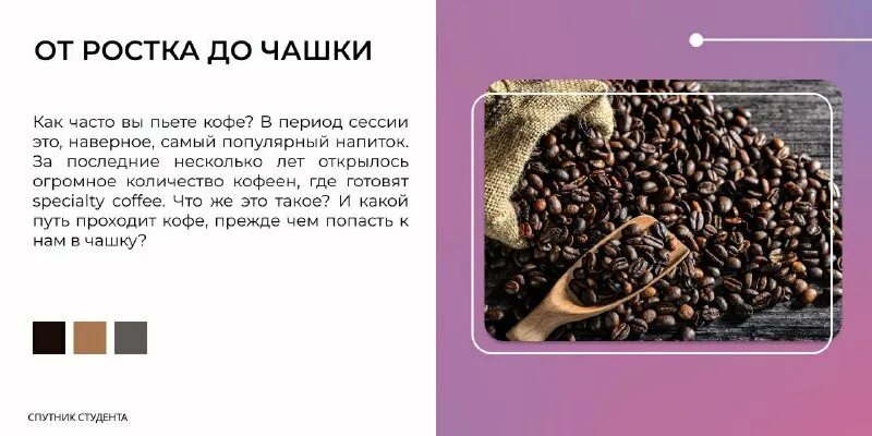 как получают зерна кофе. кофе или какао. процесс получения кофе. опишите технологию приготовления кофе черного. хани зерно кофе.