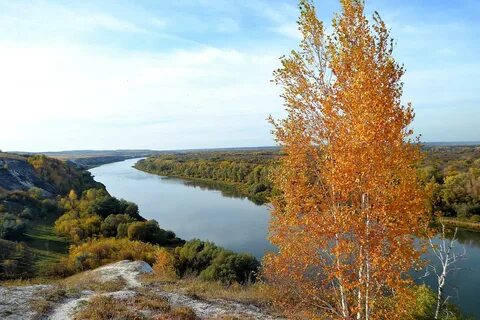 Ростовская область осенью