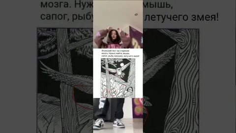 Японский тест мышь
