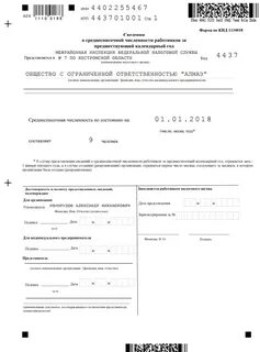 Форма средняя численность работников