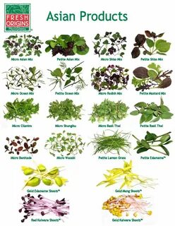 Micro plants