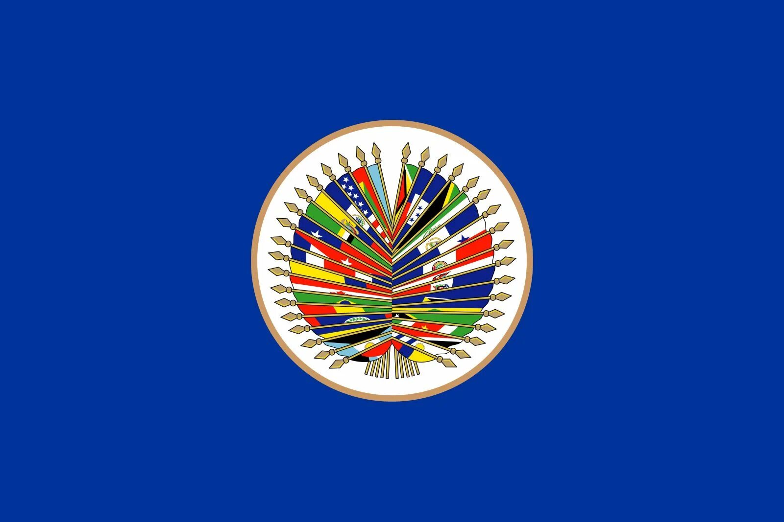 ООН И ОАГ. Организация американских государств (ОАГ). Флаги всех организаций. Американской конвенции