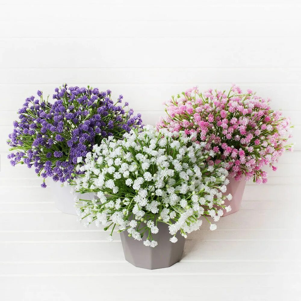 Гипсофила в горшке. Гипсофила muralis. Гипсофила ампельная. Ползучая гипсофила muralis джипси. Гипсофила паутинка многолетняя.