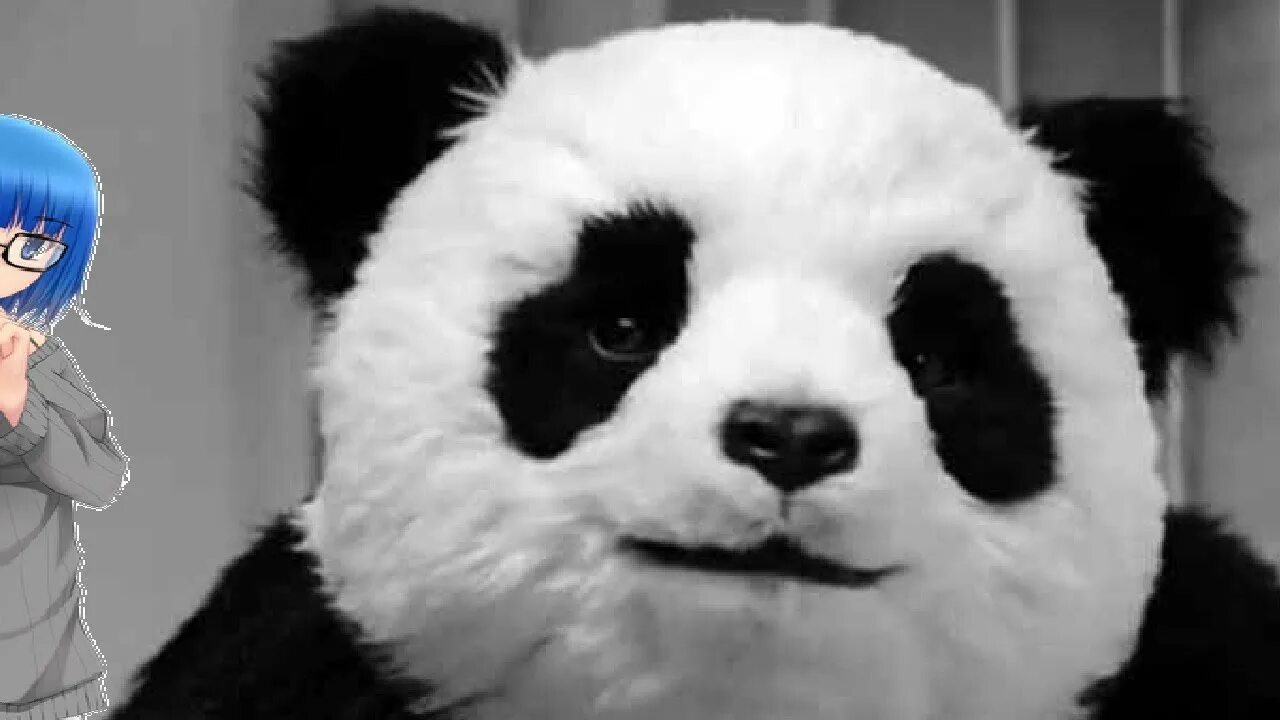 Мемы про китайцев. Смешная панда. Прикольная панда. Панда мем. Panda meme.