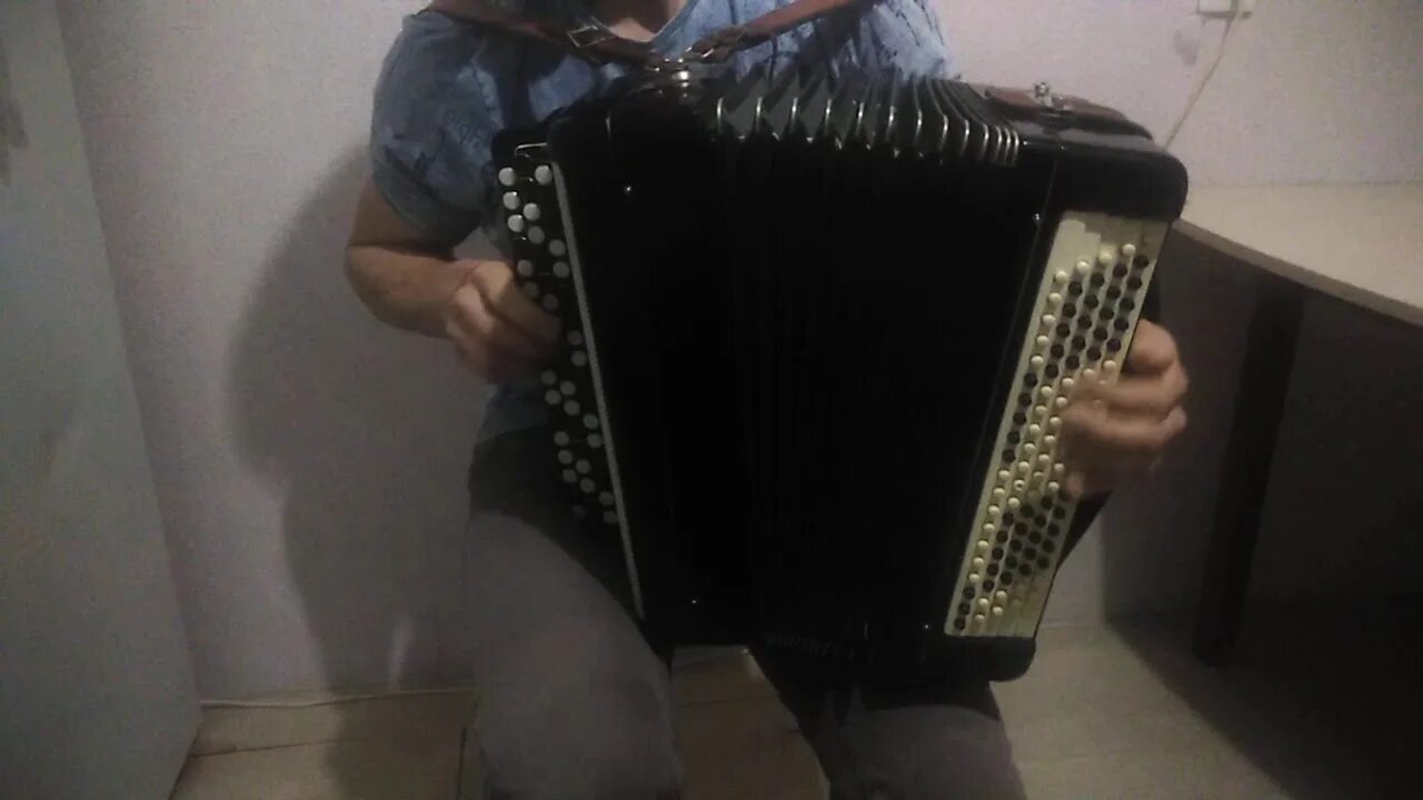 Песня дуэта из белоруссии. Аккордеонист грицун. Ирина шадрина аккордеонист. Баян попурри. Ганичев александр гармонист.