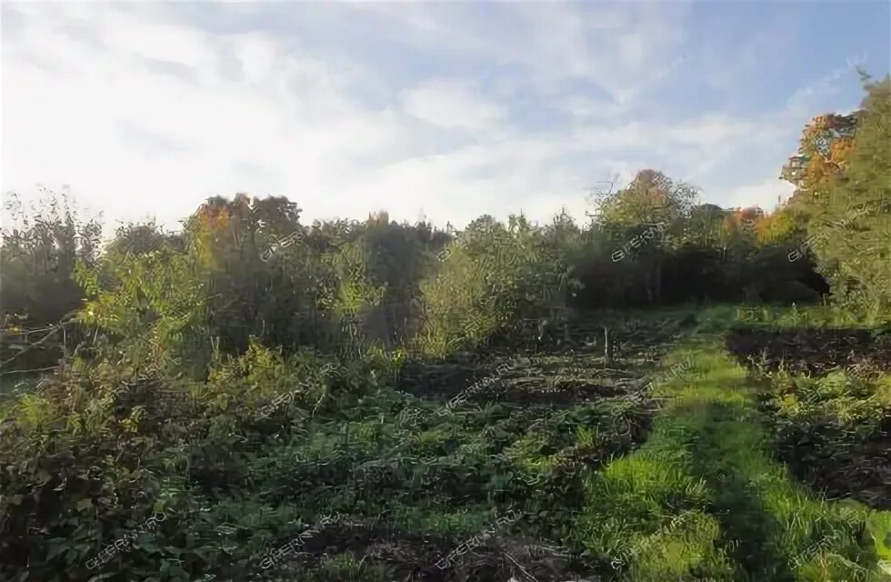 Крутцы нижегородская. Крутцы нижегородская. Деревня крутец нижегородская область. Деревня крутец нижегородская область. Крутцы нижегородская.