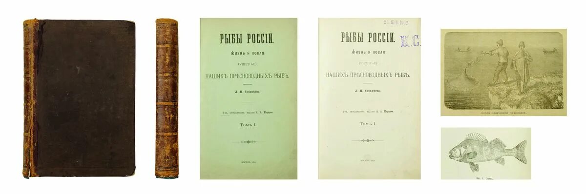 Трачевский новая история. Дмитрий завалишин декабрист. Соч 2 е изд т. Майков обложки книг. Мицкевич адам собрание сочинений.