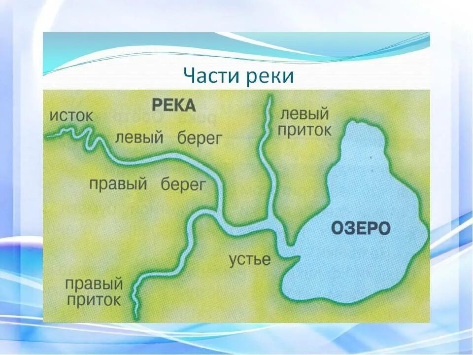 Исток Устье правый и левый приток реки. Части реки 2 класс окружающий мир Плешаков. Исток русло берега Устье это части реки. Схема Исток и Устье реки 2 класс. Схема реки 2 класс окружающий мир