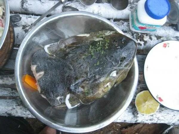 Сом в сметане в духовке. Стейк сома. Что можно сделать из сома. Что можно сделать из сома. Что можно сделать из сома.