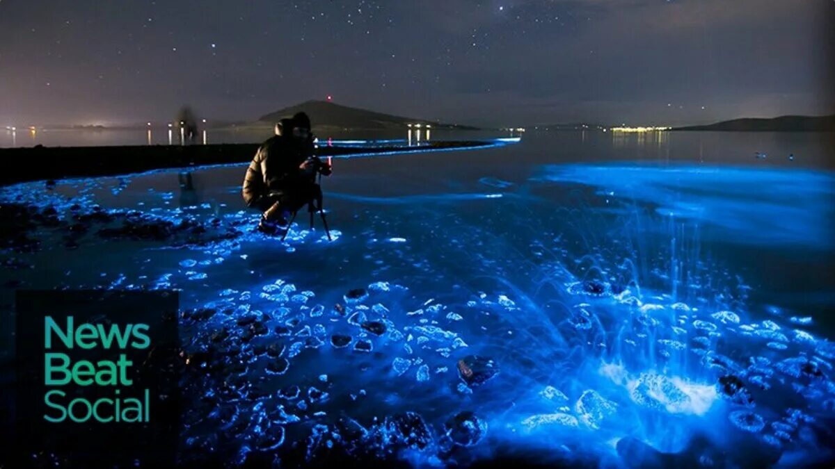 Вода ночью светится. Остров Ваадху Мальдивы. Пляж Ваадху Мальдивы. Остров Ваадху, Мальдивы. Планктон. Планктон ночесветка.
