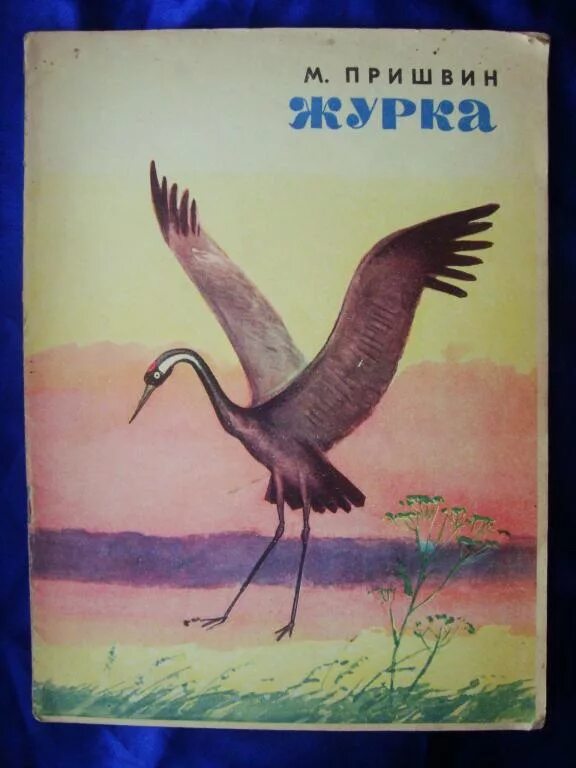 Читательский дневник журка. Рассказ журка пришвин. Журавль журка рассказ. Пришвин журка иллюстрации.