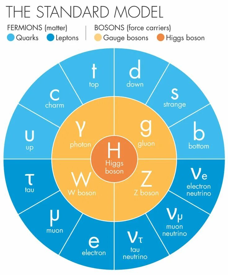 The standard model
