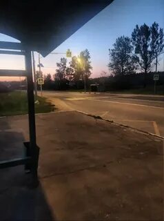 А березы тут шумят потому