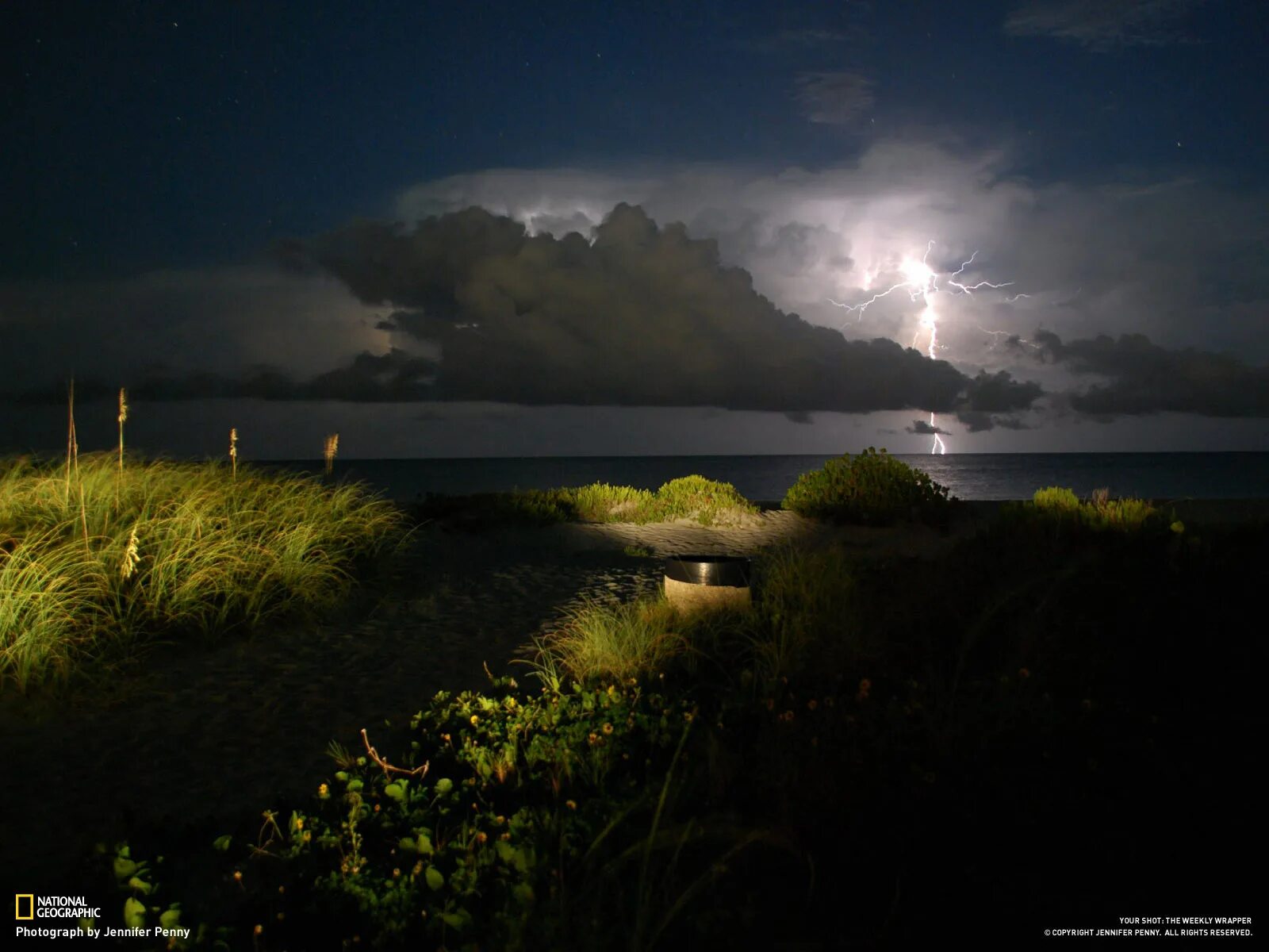 Природа статична. Баланс в природе. Удивительная природа. Водный лабиринт. Природа статична.