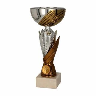 Кубок бронза