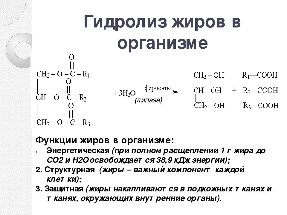 Ферментативный гидролиз жиров. Реакция гидролиза нейтральных жиров. Гидролиз нейтрального жира реакция. Гидролиз жиров уравнение реакции. Гидролиз жиров формула реакции.