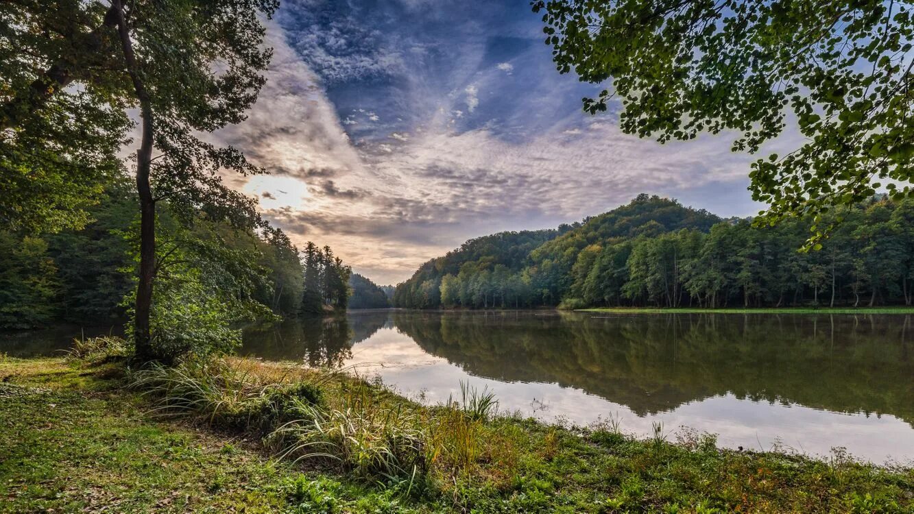 Озеро возле леса. Лесное озеро (Forest Lake). Озеро Тихая заводь. Южный Шварцвальд озеро. Лесное (озеро, Северная Америка).