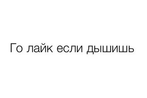Поставь дыши
